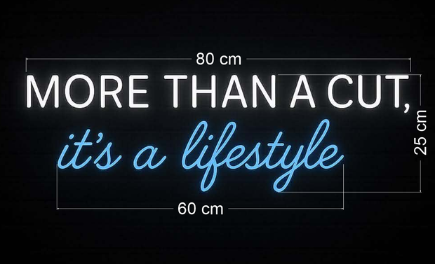 Panneau lumineux à lame